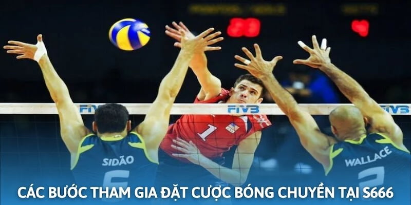 Các bước tham gia đặt cược bộ môn bóng chuyền tại S666