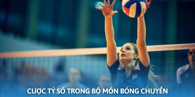 Các loại hình đặt cược trong bộ môn bóng chuyền