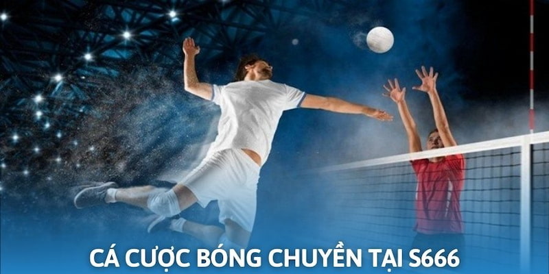 Cá cược bóng chuyển cực hấp dẫn tại S666