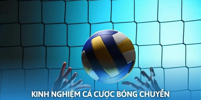 Kinh nghiệm đặt cược bóng chuyền dành cho hội viên S666