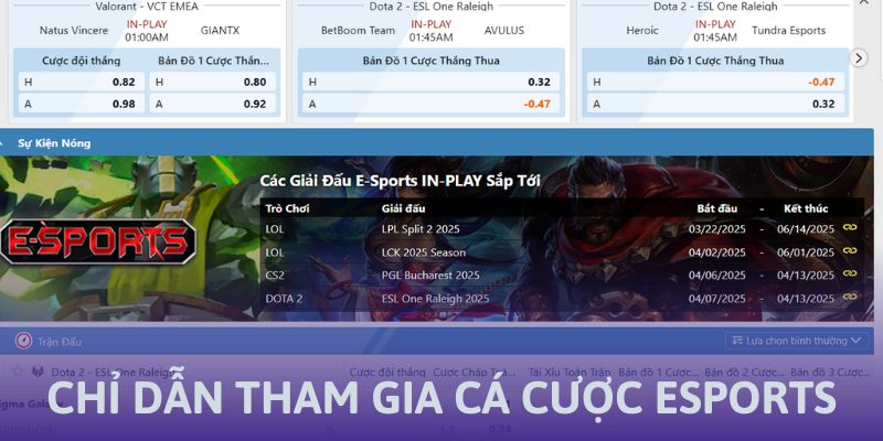 Chỉ dẫn tham gia cá cược Esports tại S666