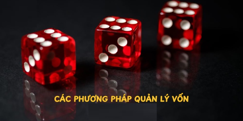 Khi đã đặt ra khoản đầu tư cố định hàng tháng, hội viên không nên nạp vào nhiều hơn.
