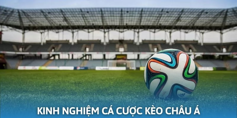 Thống kê dữ liệu thường xuyên để nâng cao tỷ lệ thắng khi đặt cược
