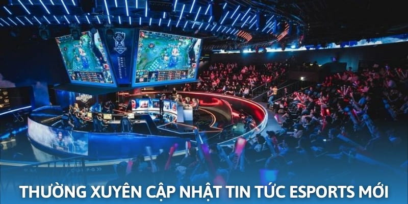 Cập nhật tin tức thường xuyên về các giải đấu esports