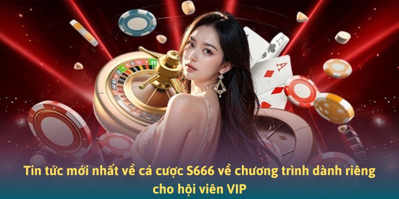 Tin tức mới nhất về cá cược S666 chương trình dành riêng cho hội viên VIP