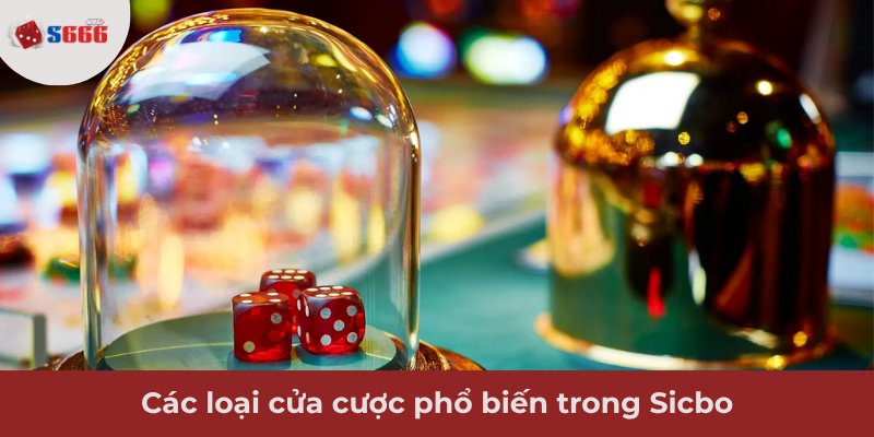 Ảnh minh hoạ: Các loại cửa cược phổ biến trong Sicbo
