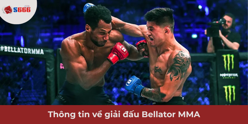 Ảnh minh hoạ: Thông tin giải đấu Bellator MMA