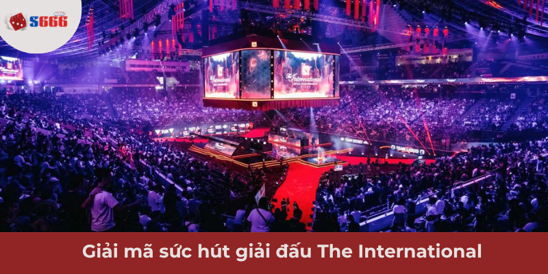 Ảnh minh hoạ: Sức hút giải đấu The International trong giới cá cược