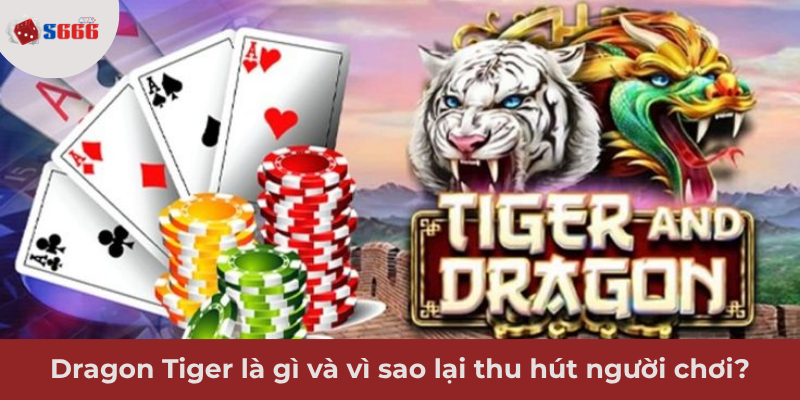 Ảnh minh hoạ: Dragon Tiger là gì và vì sao lại thu hút người chơi?
