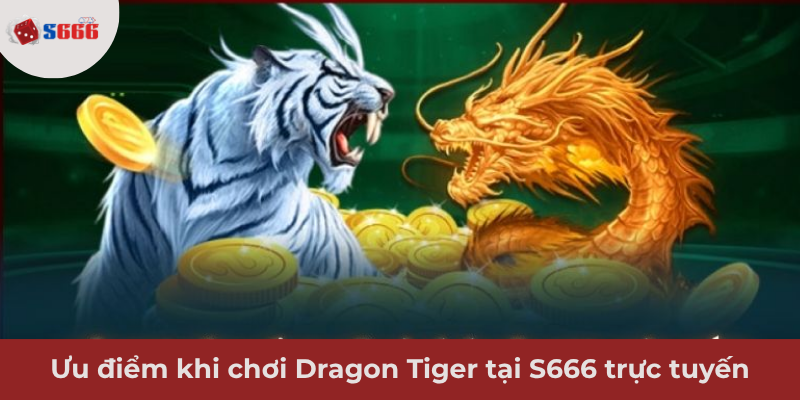 Ảnh minh hoạ: Lợi ích của việc chơi Dragon Tiger tại S666