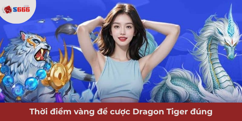 Ảnh minh hoạ: Thời điểm vàng để cược Dragon Tiger đúng