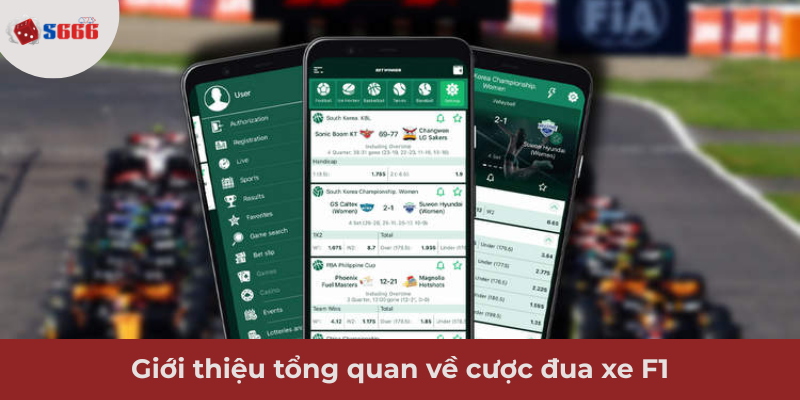 Ảnh minh hoạ: Thông tin về cược đua xe F1