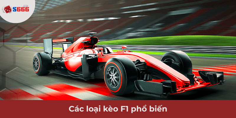 Ảnh minh hoạ: Các loại kèo F1 phổ biến