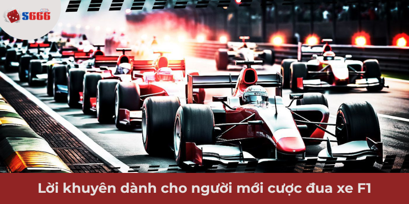 Ảnh minh hoạ: Lời khuyên dành cho người mới bắt đầu cược F1