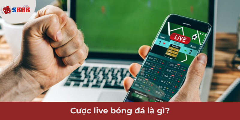 Ảnh minh hoạ: Tìm hiểu về cược live bóng đá