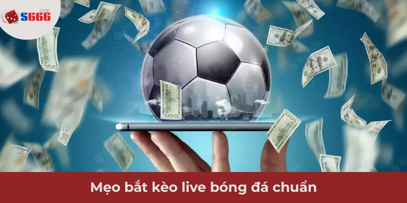 Ảnh minh hoạ: Mẹo bắt kèo live chuẩn từ chuyên gia
