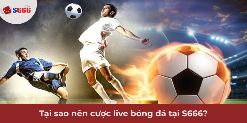 Ảnh minh hoạ: Tại sao nên cược live bóng đá tại nhà cái S666?