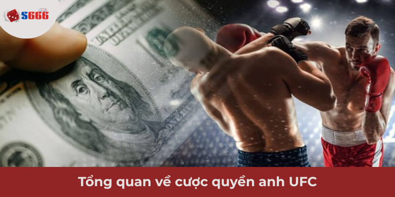 Ảnh minh hoạ: Thông tin về hình thức cá cược quyền anh UFC