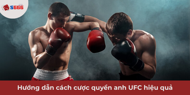 Ảnh minh hoạ: Hướng dẫn cách cược quyền anh UFC hiệu quả