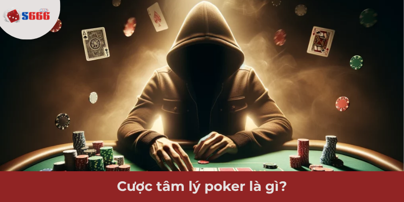 Ảnh minh hoạ: Thông tin về Cược tâm lý poker