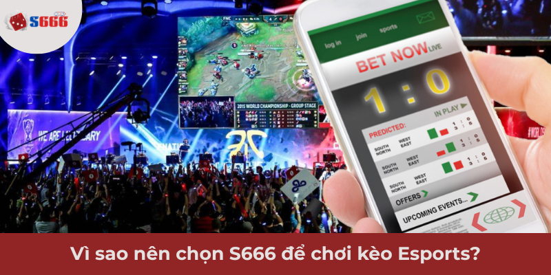 Ảnh minh hoạ: Vì sao nên chọn S666 để chơi kèo Esports?