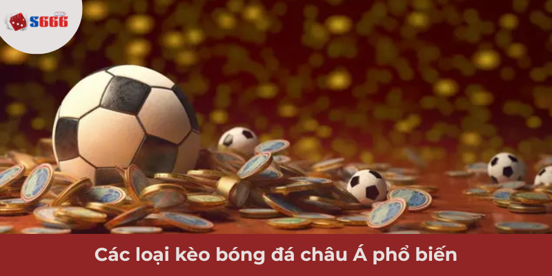 Ảnh minh hoạ: Các loại kèo bóng đá châu Á phổ biến