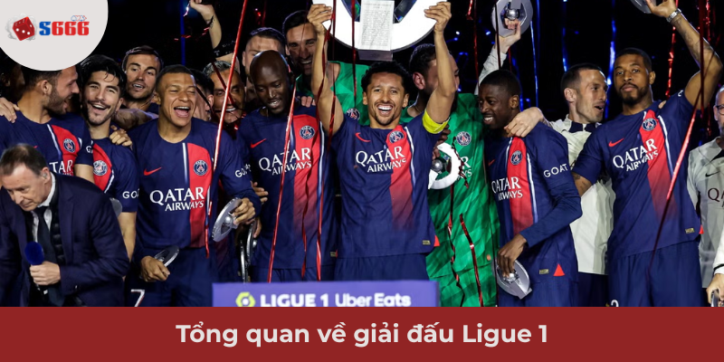 Ảnh minh hoạ: Tổng quan về giải đấu Ligue 1