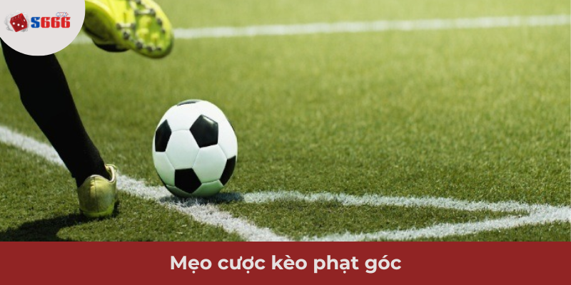 Ảnh minh hoạ: Mẹo cược kèo phạt góc