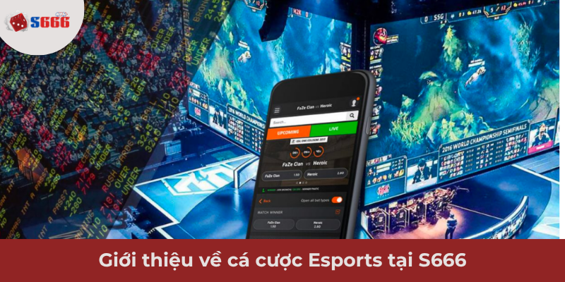 Ảnh minh hoạ: Giới thiệu về cá cược Esports tại S666