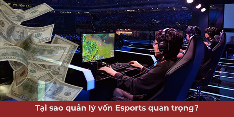 Ảnh minh hoạ: Quản lý vốn Esports là gì và tại sao quan trọng?